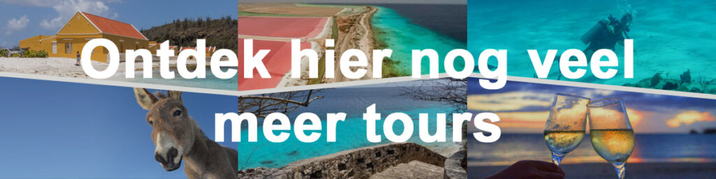 Tour boeken Bonaire